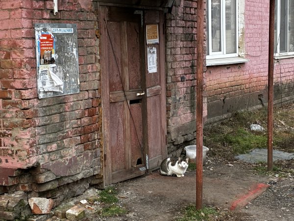 Аварийный дом на проспекте Братьев Коростелевых в Оренбурге. Фото 1743.ru