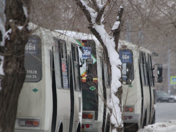 Оренбургские автобусы