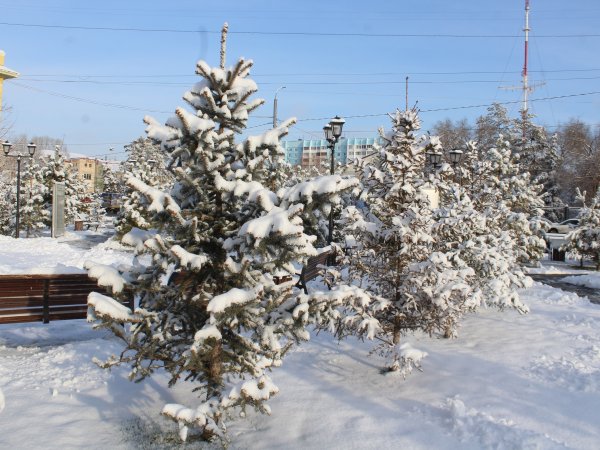 Арктическое вторжение: в субботу в Оренбурге резко похолодает