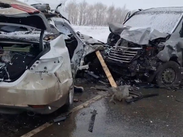 2 взрослых и 1 ребёнок погибли в массовом ДТП на трассе в Оренбургской области