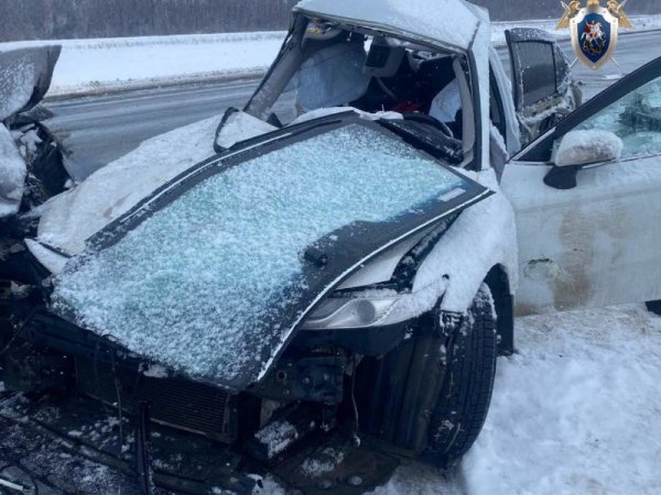 Погибшему в ДТП под Сорочинском ребёнку было 2 года