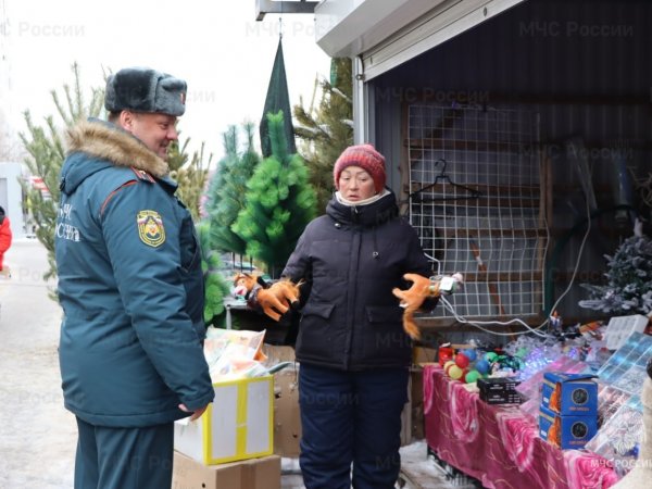 Инспектор ГУ МЧС России по Оренбургской области проверяют, все ли сертификаты на пиротехнику имеются у продавца; Фото: ГУ МЧС России по Оренбургской области 