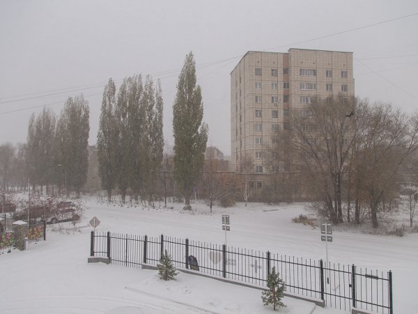 Снежный Новый год: оренбуржцам 31 декабря обещают метель