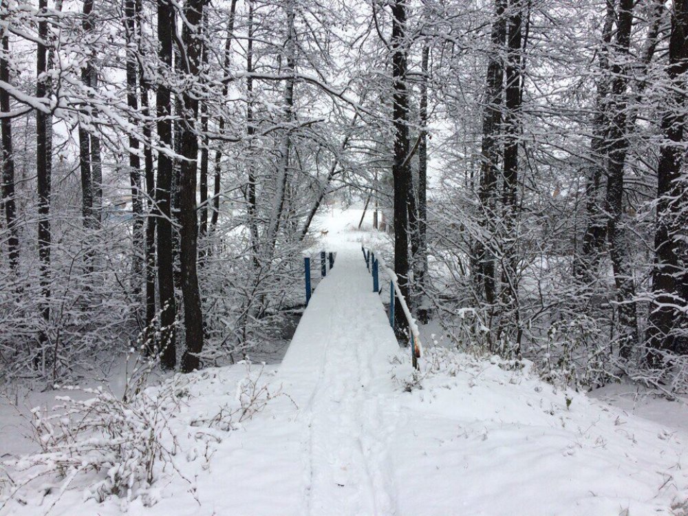 Оренбургскую область накроют морозы