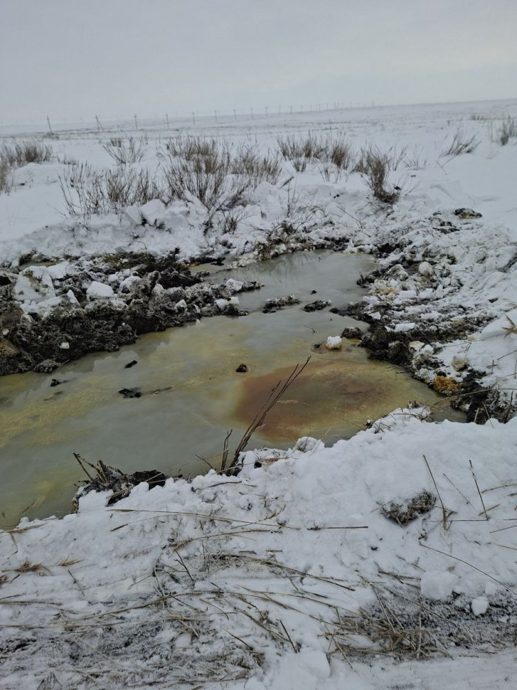 Сообщение о прорыве нефтепровода поступило с Малозайкинского сельсовета; фото: Управление Россельхознадзора по Оренбургской области Сообщение о прорыве нефтепровода поступило с Малозайкинского сельсовета; фото: Управление Россельхознадзора по Оренбургской области