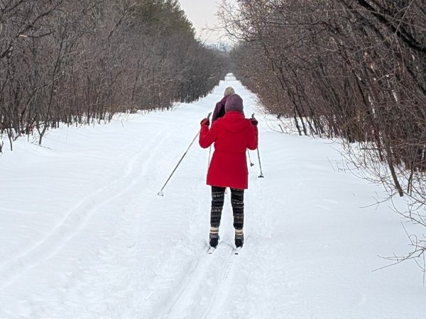 Коньки и лыжи: активный отдых в первые дни нового года