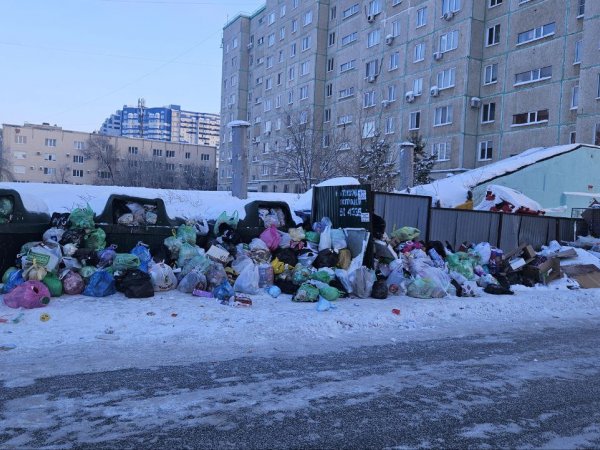 Мусорный привет из 2025-го: двор в Оренбурге завален отходами, которые не вывозят с 30 декабря