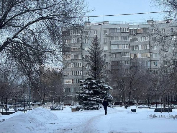 Большая ель в сквере им. Лебедева и Сираева, которую должны были заменить еще осенью; фото: тг-канал "Оренбург очевидец"