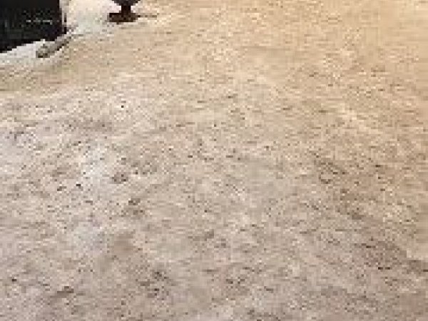 тротуар на Салмышской 