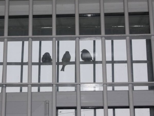 Оренбуржье заняло 25 место в рейтинге регионов по преступности