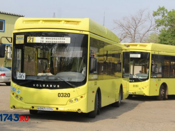 Оренбургу нужно закупить еще 100 автобусов — для стабилизации ситуации с транспортом