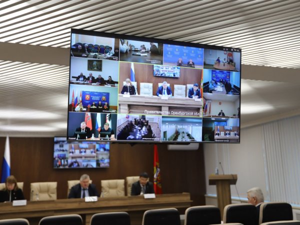 Больше 80 млн рублей заложены в Оренбуржье в 2026 году на отлов бездомных животных