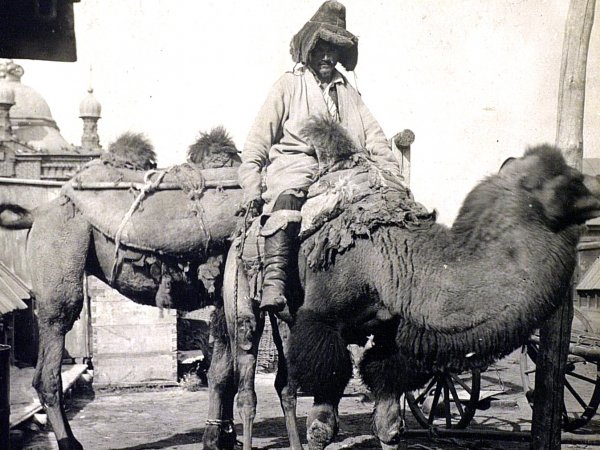 По следу, оставленному валенком: как сыщики 100 лет назад раскрыли жестокое убийство в степи