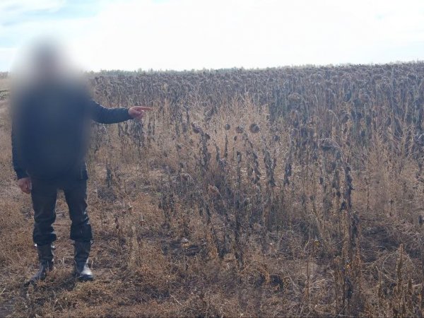 У жителя Оренбурга конфисковали автомобиль и ружьё за убийство оленя