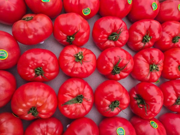 Более 200 тонн зараженной импортной продукции задержали на границе с Россией