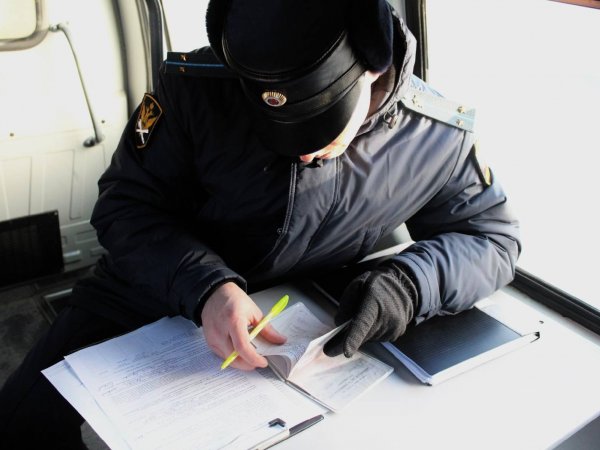 Жительница Оренбурга спряталась от судебных приставов...в шкафу