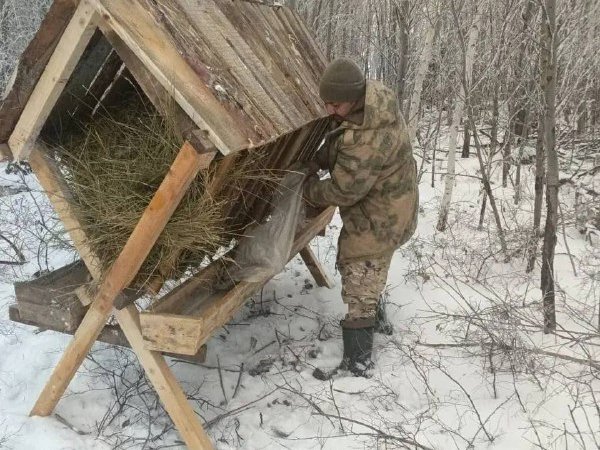 В Оренбуржье подкармливают диких животных и готовят лес к весне