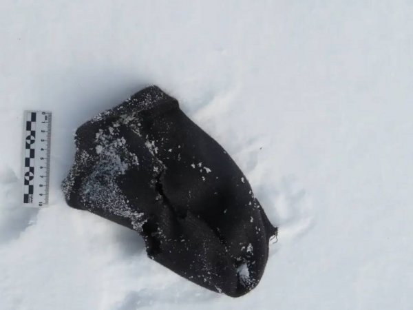 В Оренбуржье полицейская собака помогла найти грабителя