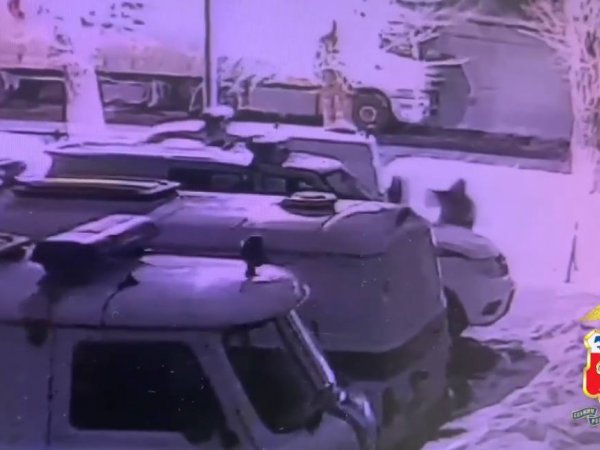 В Оренбурге студент из Воронежа по заданию мошенников поджёг полицейскую машину