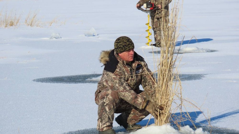 Фото: минприроды Оренбургской области