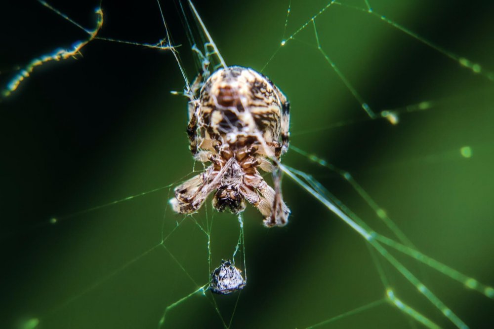 Фото редакции