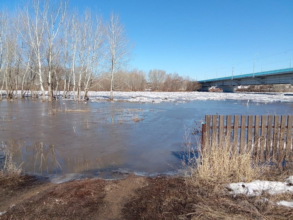 фото редакции фото редакции