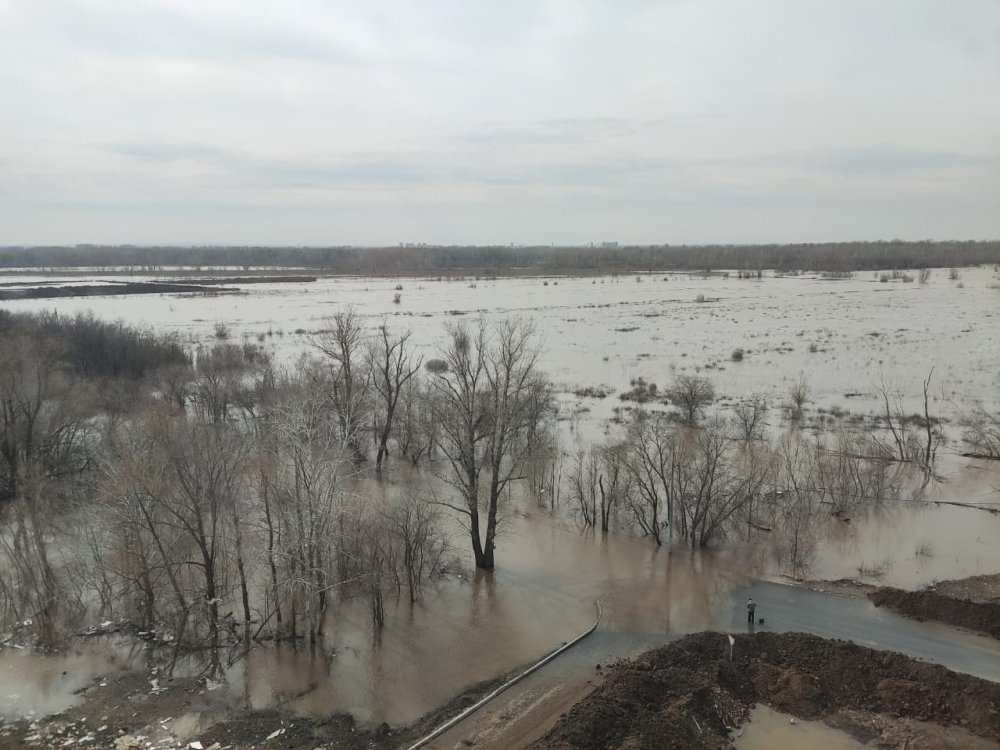 фото редакции