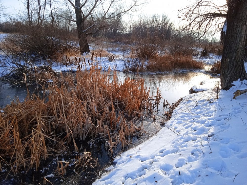 фото редакции