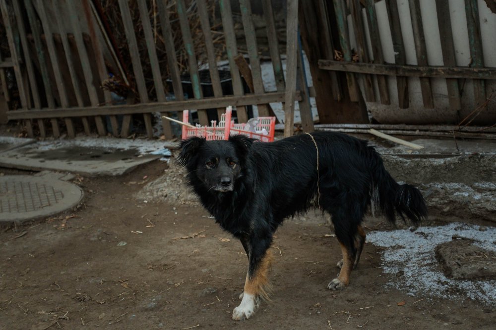 фото редакции