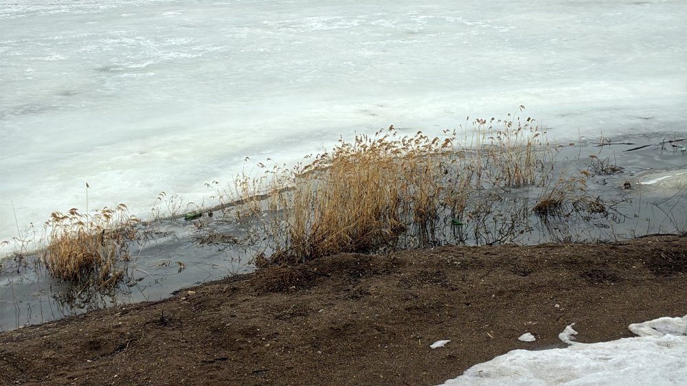 Паводок в апреле в Оренбурге: прогноз и погода 