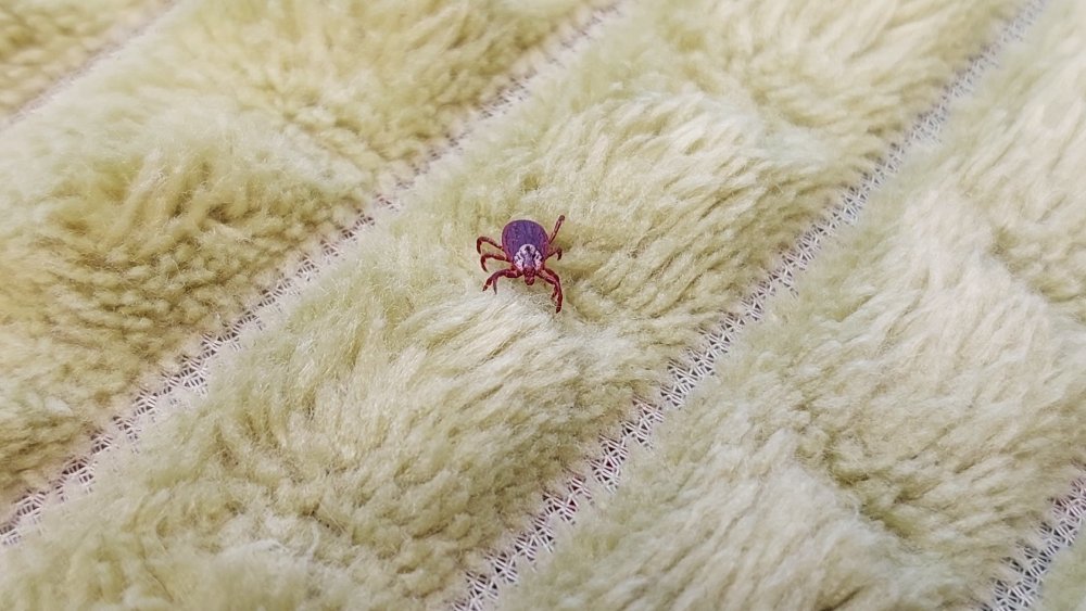 фото редакции