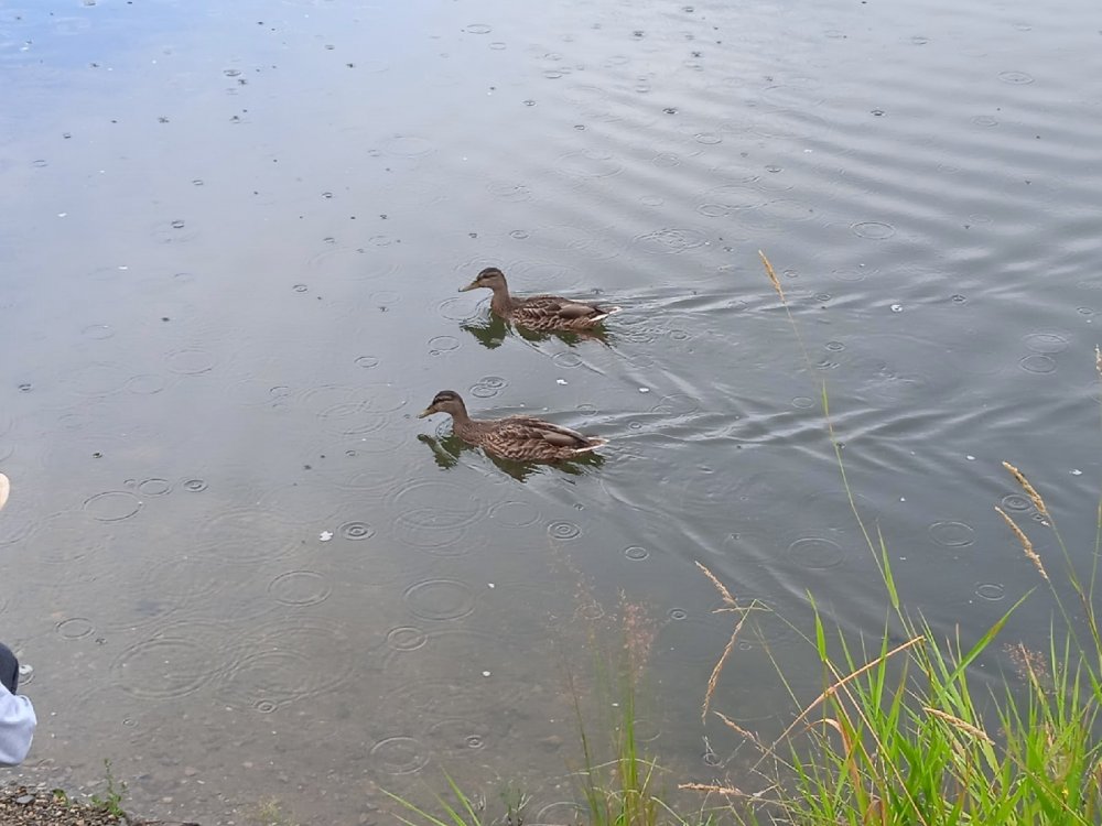 фото редакции