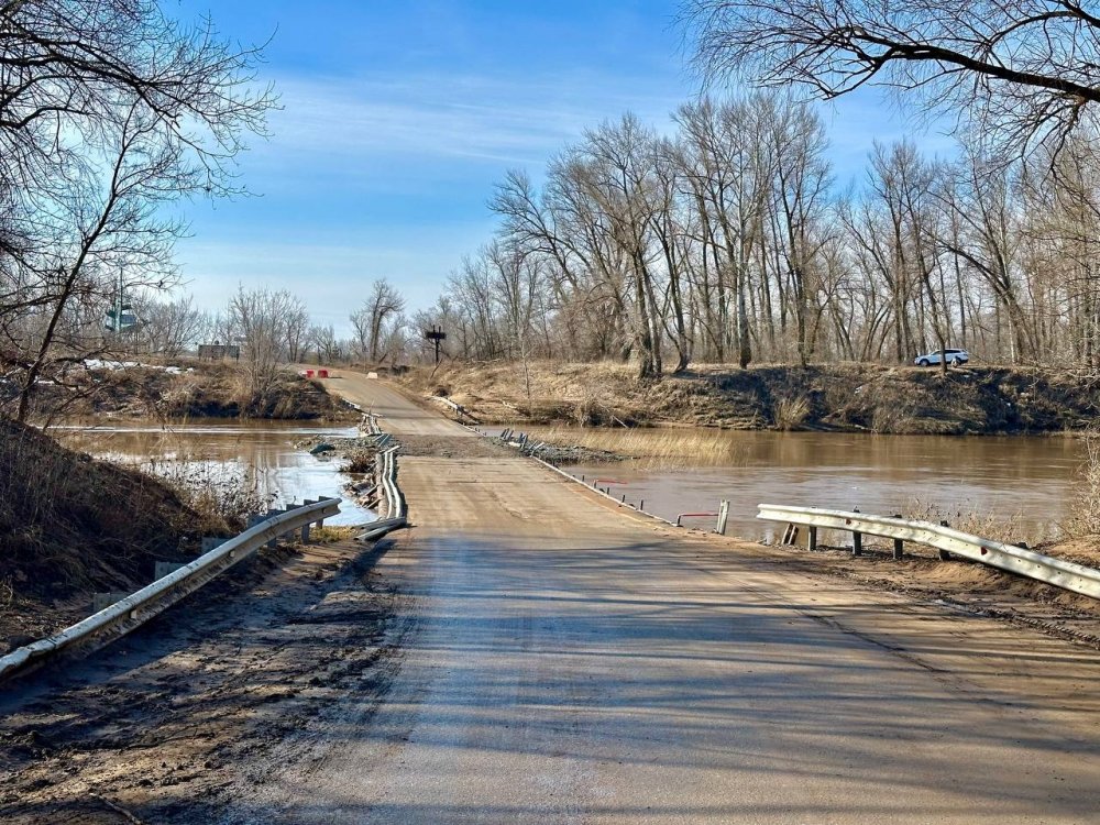 фото: нацпарк Бузулукский бор