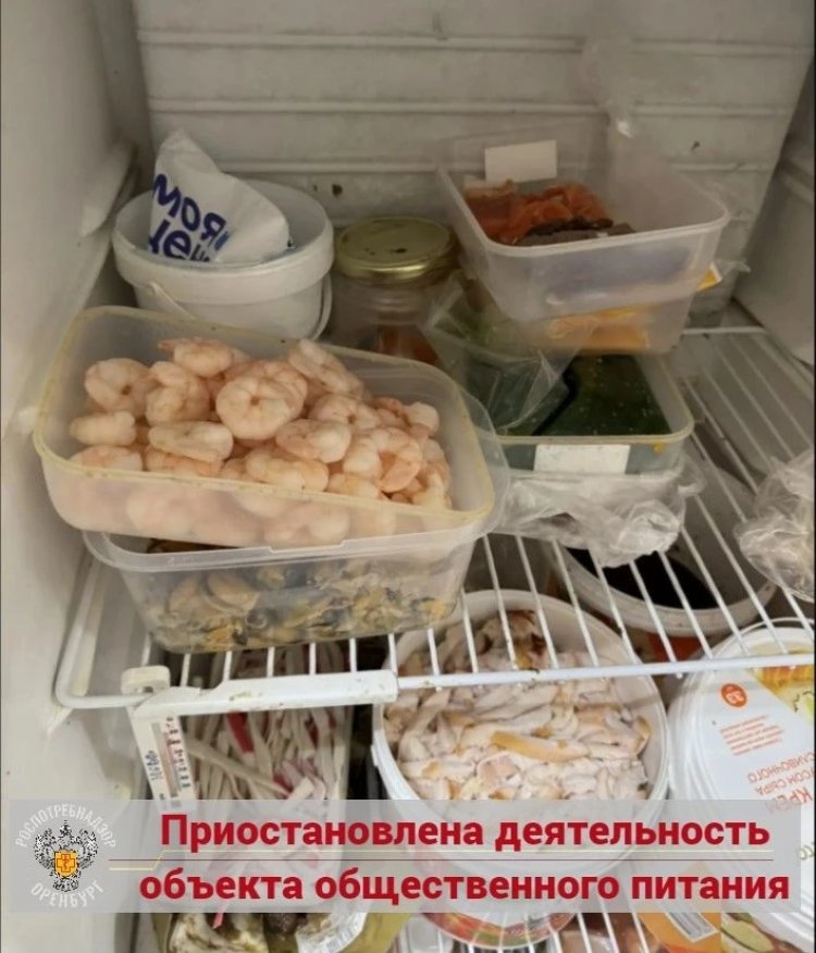 фото Роспотребнадзор Оренбургской области