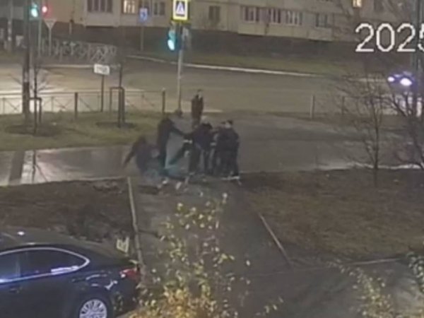Фото: скриншот с видео УМВД по Оренбургской области 