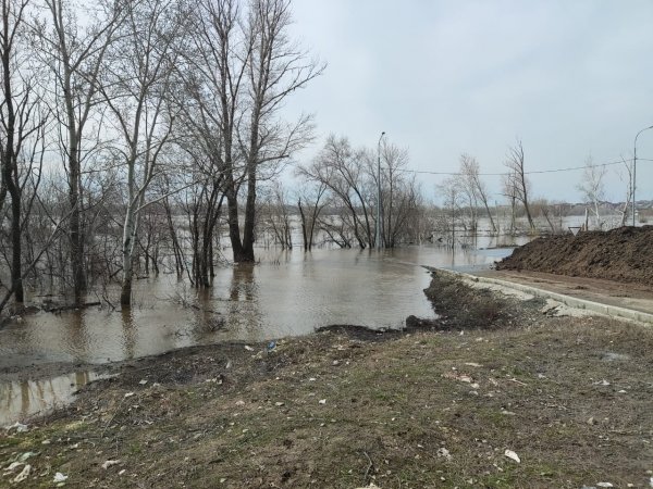 фото редакции
