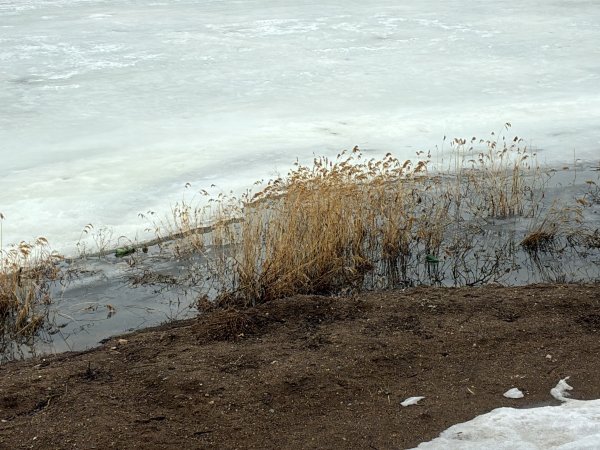 Паводок в апреле в Оренбурге: прогноз и погода 
