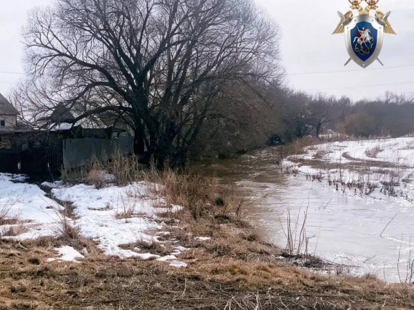 В Октябрьском районе ребёнок упал в реку — его ищут