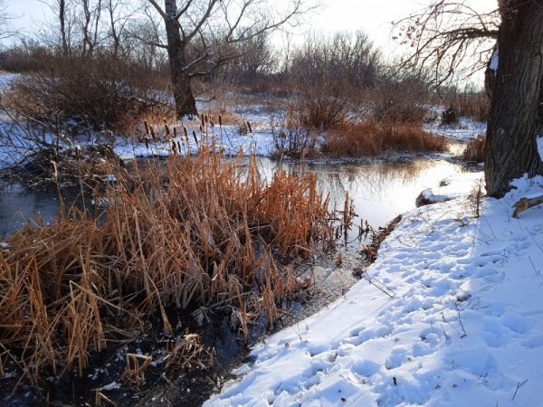 Как изменился уровень воды на реках Оренбуржья