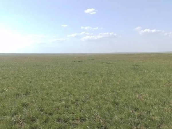 В Светлинском районе через суд изымают 16 тысяч гектаров сельхозземель