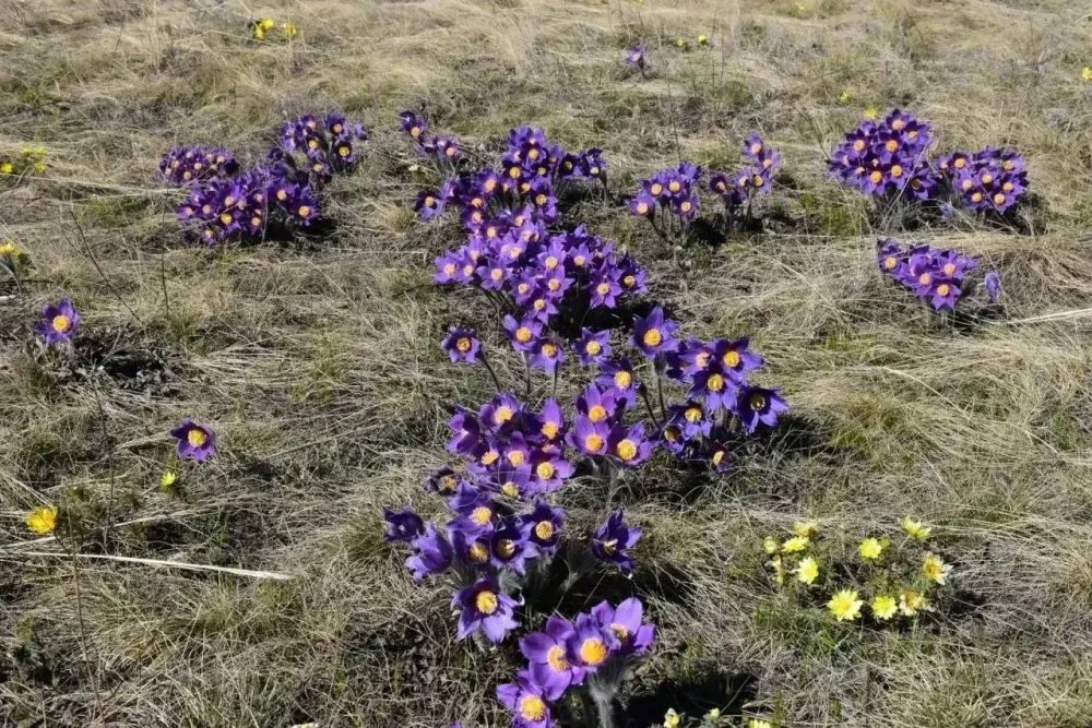 Фото Минприроды Оренбуржья