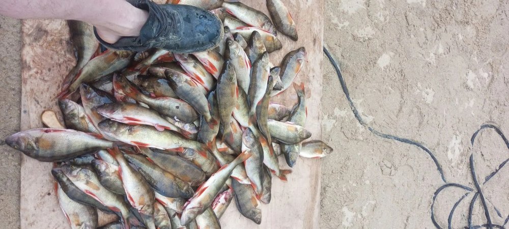 Рыбалка в апреле: Полный гид по ловле хищника и мирной рыбы