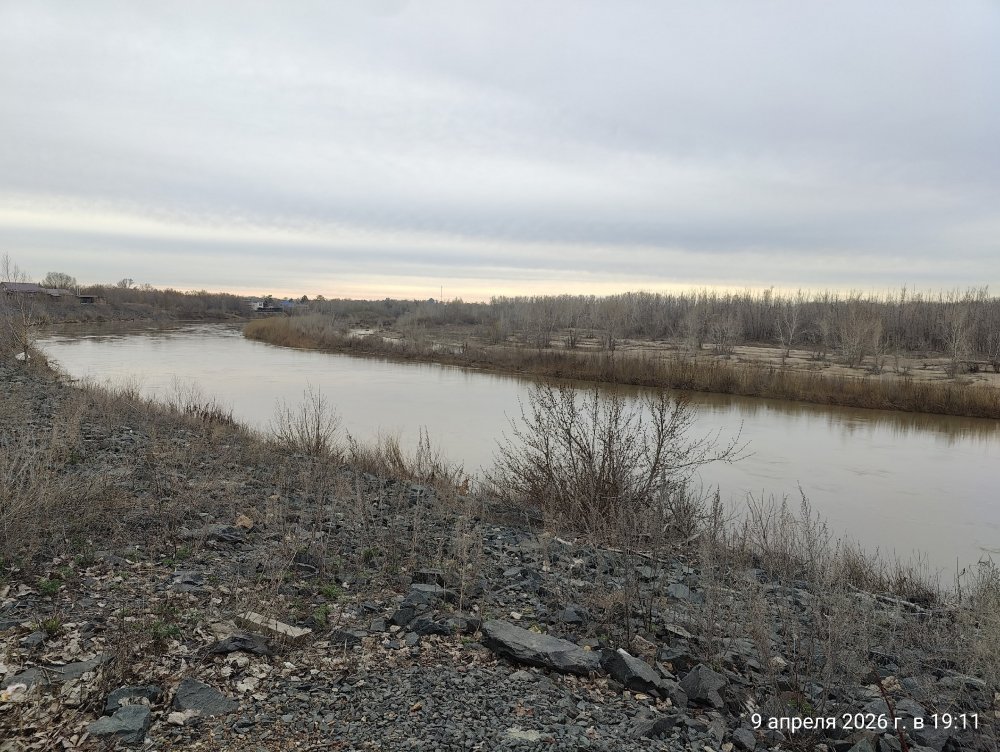 фото редакции фото редакции