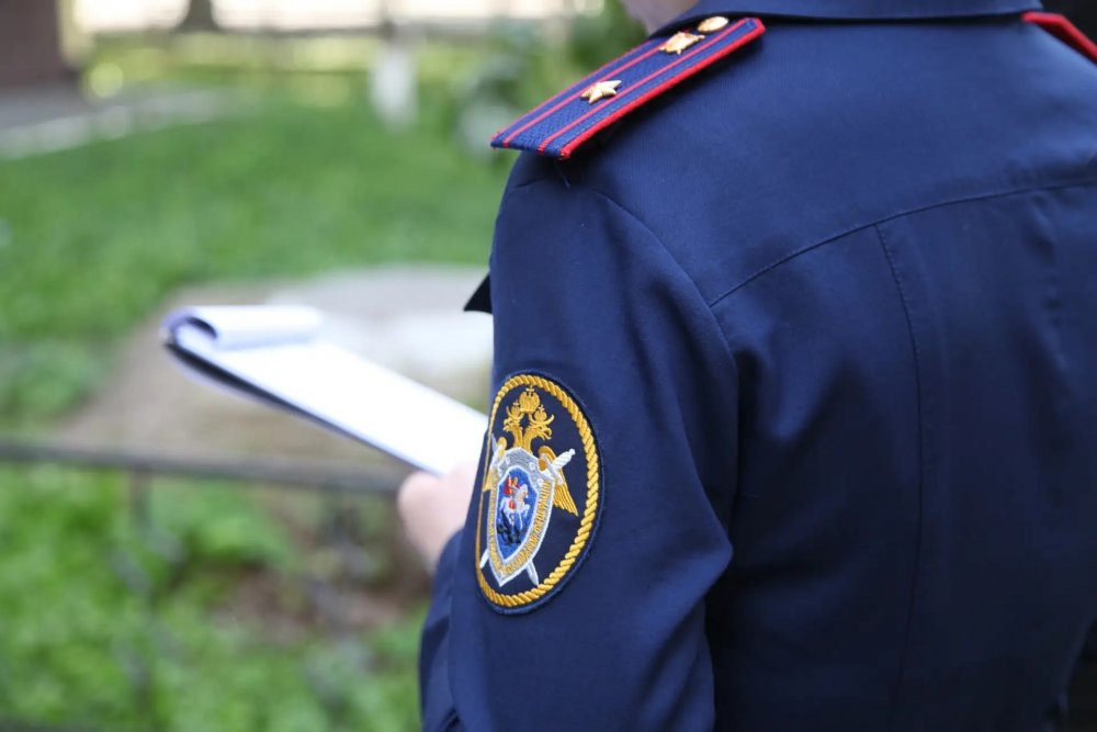 задержана по подозрению в убийстве, фото СУ СК РФ 