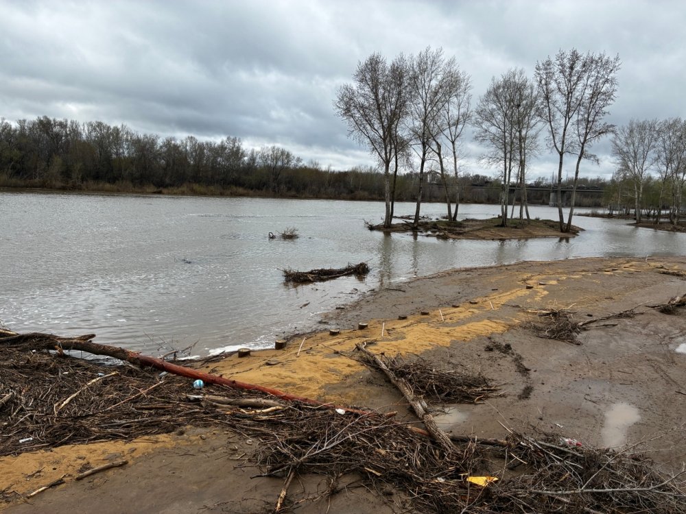 Мусор, принесенный паводком на Урале. Фото 1743.ru