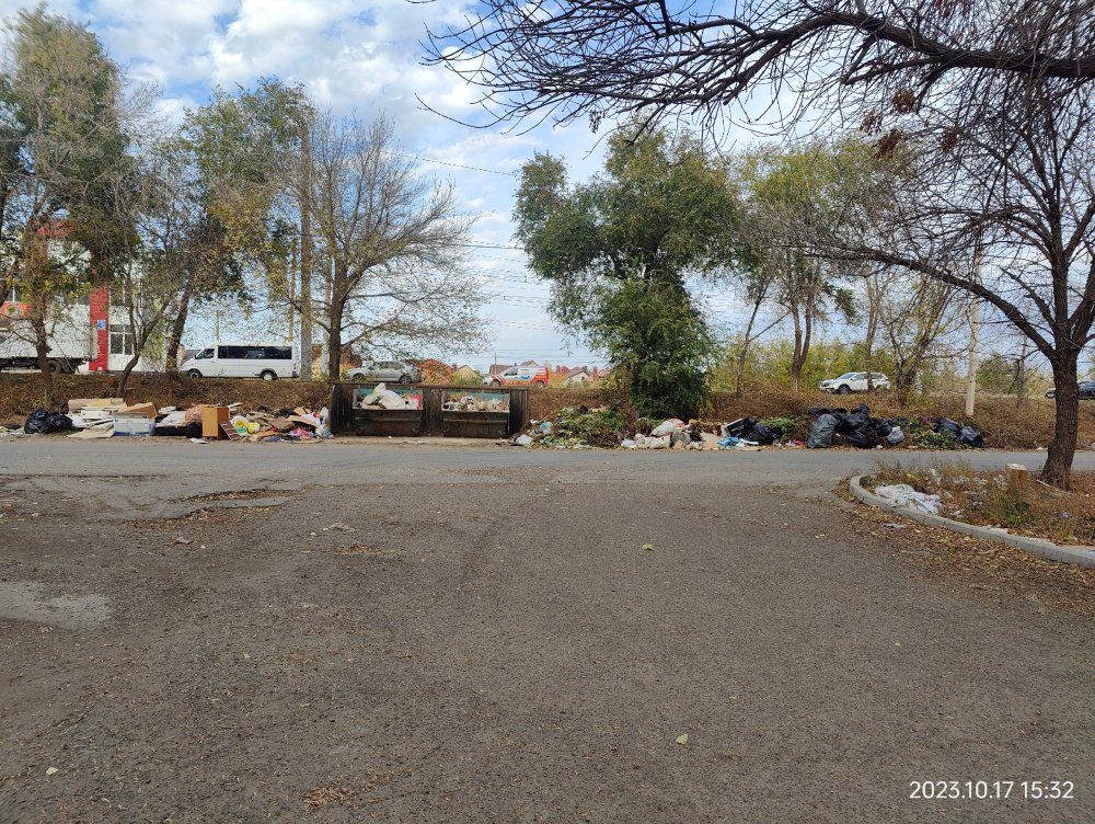 С 1 сентября 2025 года ветки выбрасывать на мусорку нельзя