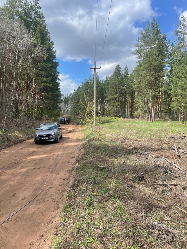 Ветер ломает деревья и сносит машины с дорог