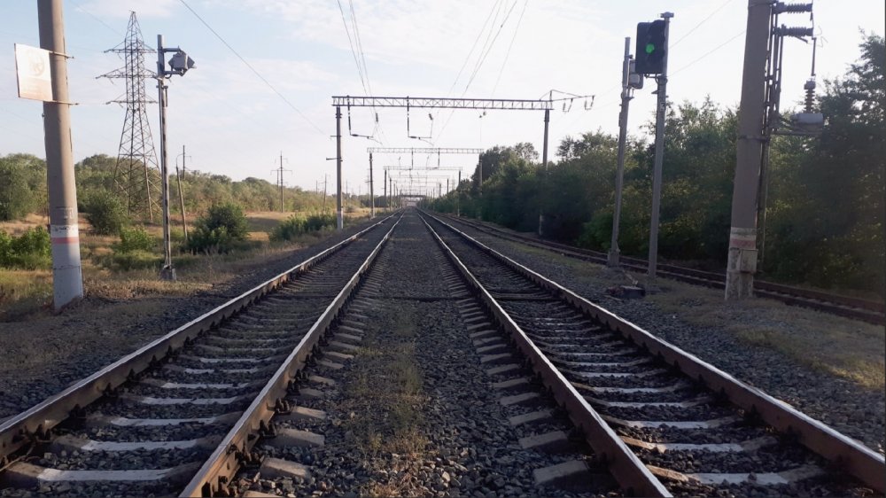 дерево  убило электромонтера