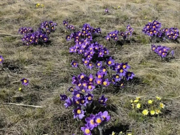 Фото Минприроды Оренбуржья