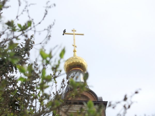 Храм в Оренбурге. Фото 1743.ru